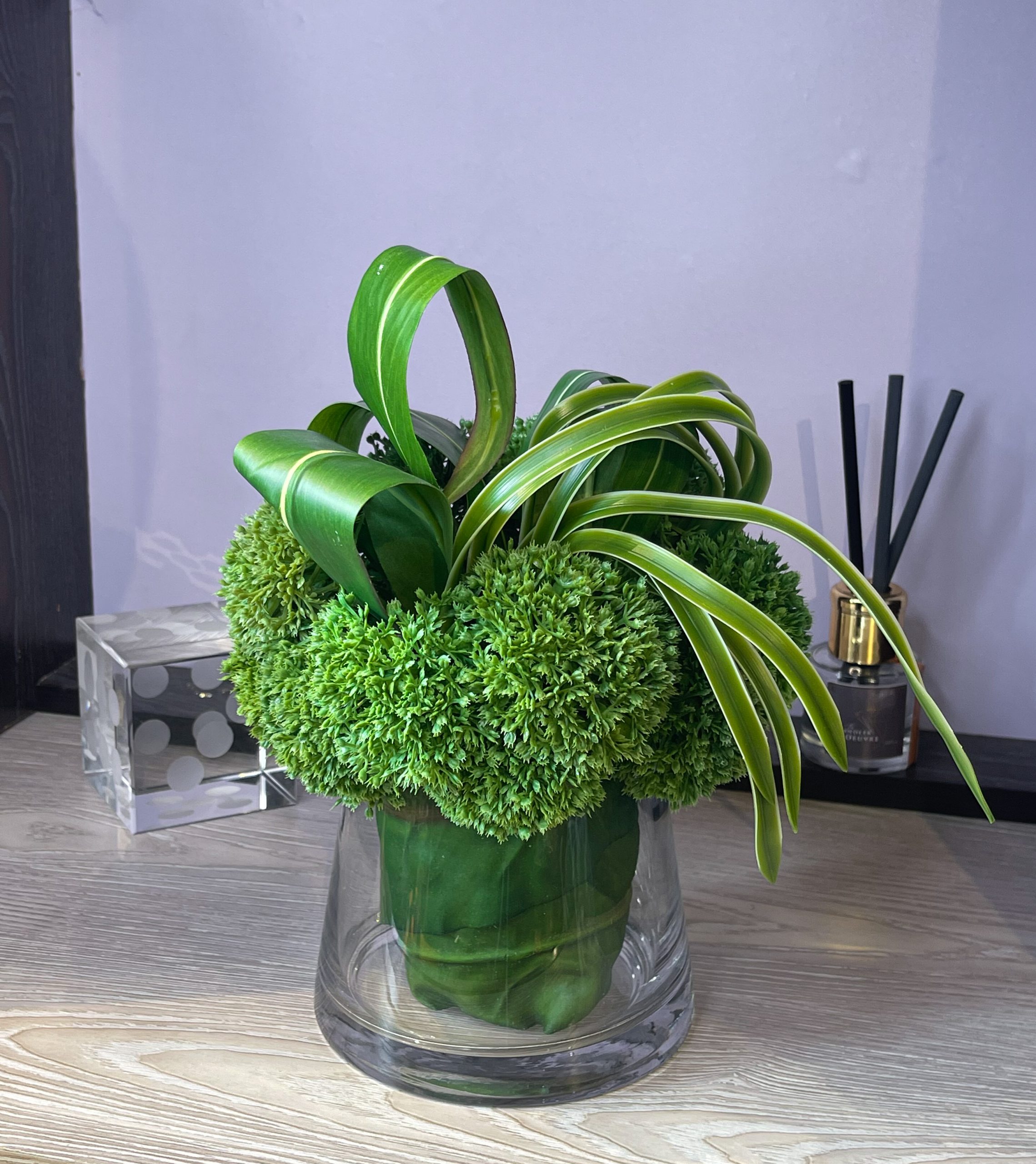Potted Plant