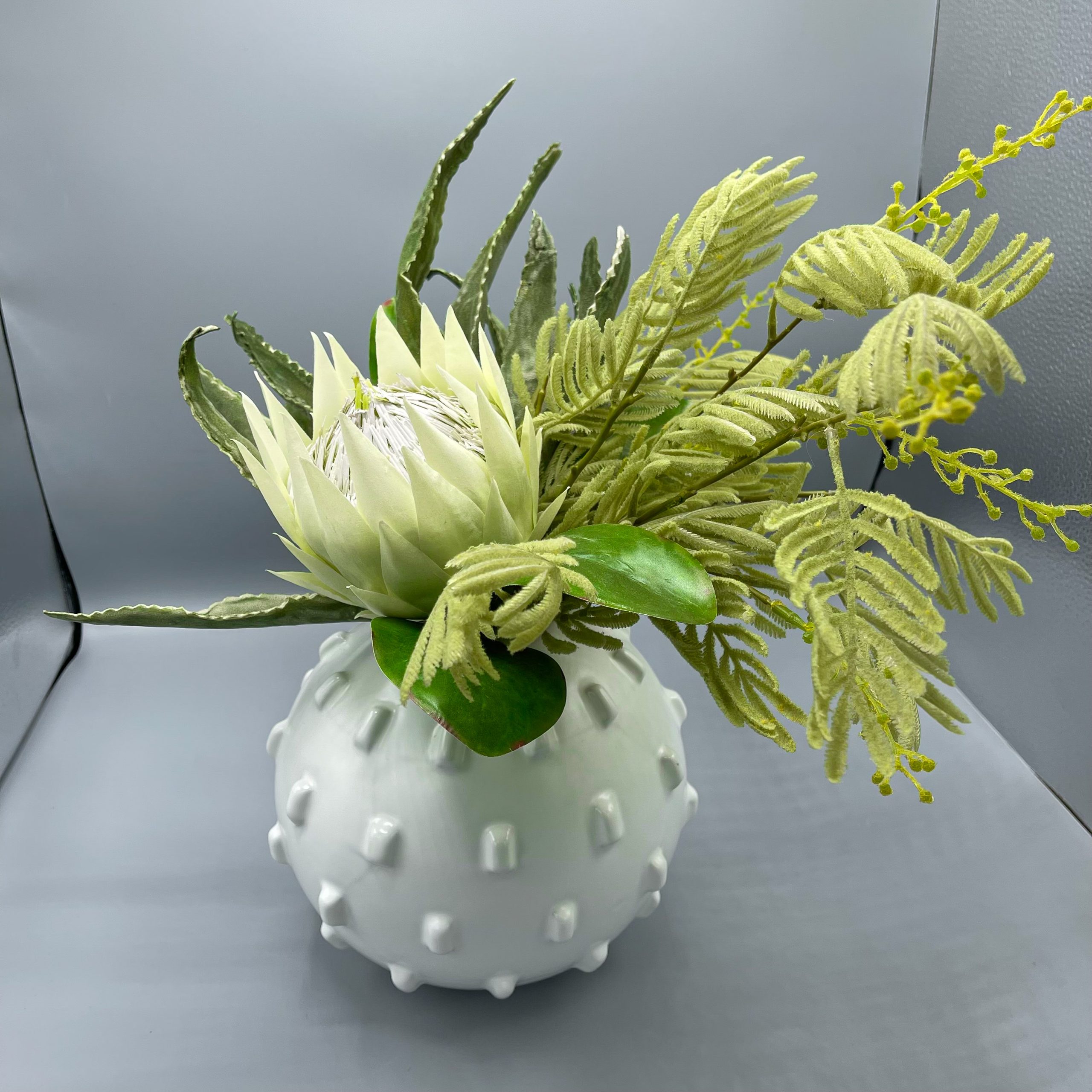Potted Plant